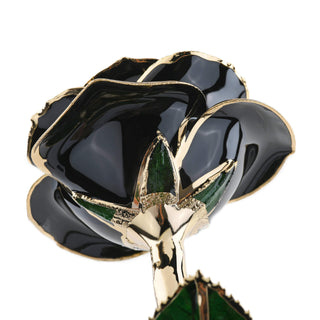 Timeless Rose | Black