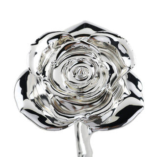 Timeless Rose | Silver