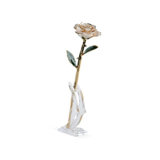 Timeless Rose | White