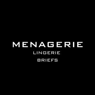 BRIEFS | LINGERIE