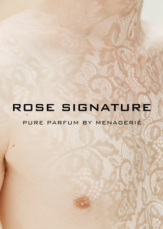 AVAILABLE NOW | ROSE SIGNATURE SCENT