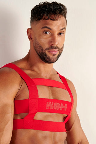 Night Universe | Harness | Red