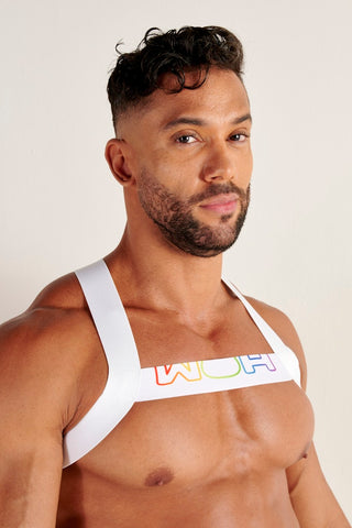 Sexy Fun Harness | Multi- Colour