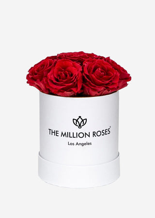 Basic White Box | Red Roses