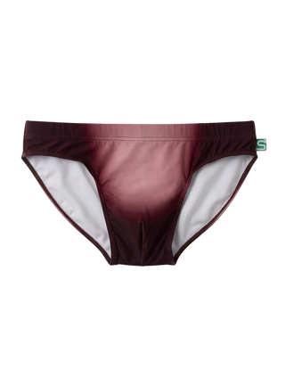 The Seaman Statement Brief