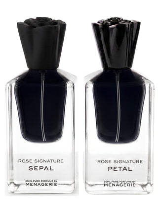 PETAL + SEPAL | 50ML Set | PRESALE