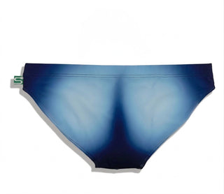 The Seaman Statement Brief
