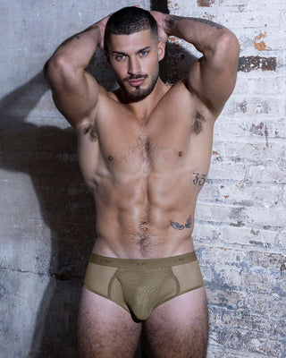 Sheer Fly Front Brief Dark Nude