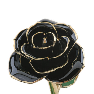 Timeless Rose | Black