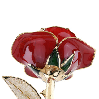 Timeless Rose | Dark Red