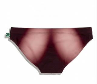 The Seaman Statement Brief