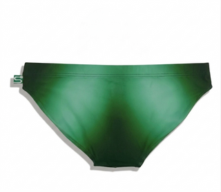 The Seaman Statement Brief