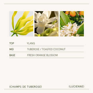 Champs de Tuberose Candle | Lucienne