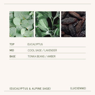 Eucalyptus & Alpine Sage Candle | Lucienne