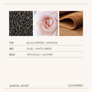 Santal Rosé Candle | Lucienne