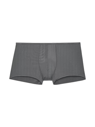 Plumes | Trunk | Anthrazit