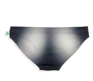 The Seaman Statement Brief
