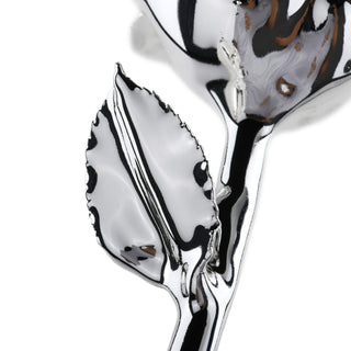 Timeless Rose | Silver