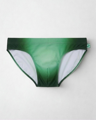 The Seaman Statement Brief