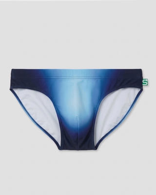 The Seaman Statement Brief