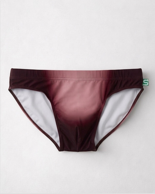 The Seaman Statement Brief