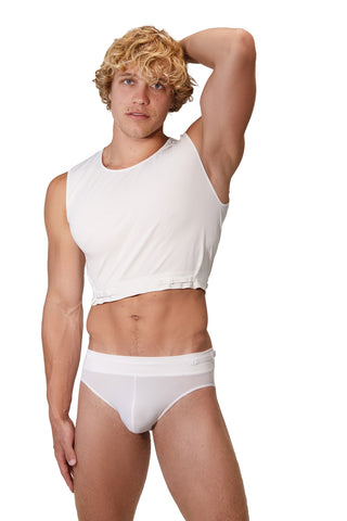 Brief