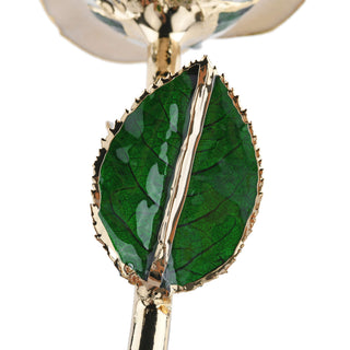 Timeless Rose | White