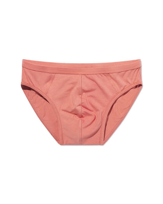 Brief