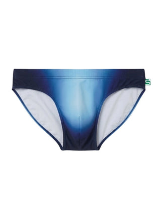 The Seaman Statement Brief